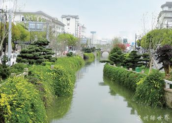 經典案例